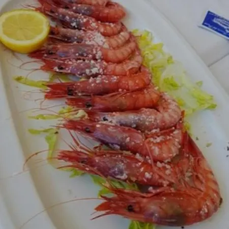 Calma Y Luz * Garrucha